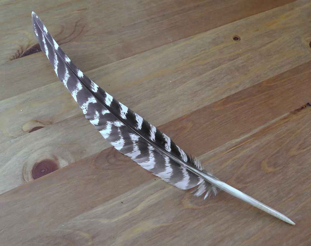 0-Plume