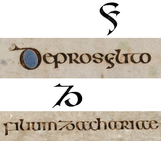 semi-onciale irlandaise_lettre Y et Z_folio 15v